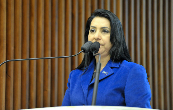 Sessão nesta quarta-feira (29) comemorará a primeira edição do "Agosto Azul"