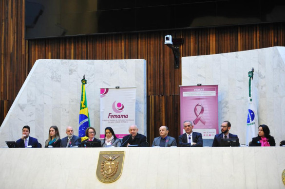 Audiência pública na Assembleia Legislativa debate a prevenção e o tratamento do câncer de mama