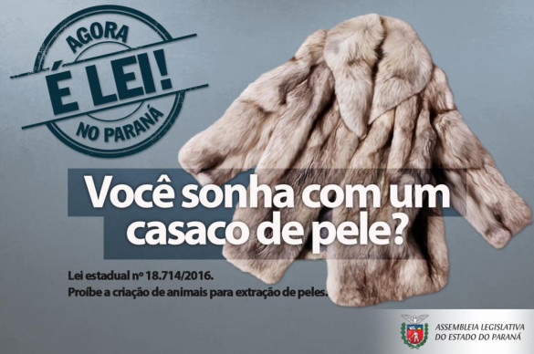 Lei proíbe a criação de animais para extração de peles