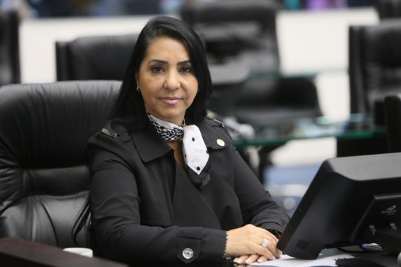 Deputada Mara Lima defende criação do aplicativo "Salve Maria"