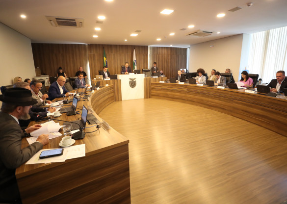 CCJ aprova projeto que reduz custos da CNH e medidas voltadas à segurança pública no Paraná