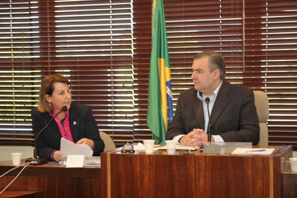 CPI da Saúde Mental ouve representantes da Secretaria de Estado da Saúde