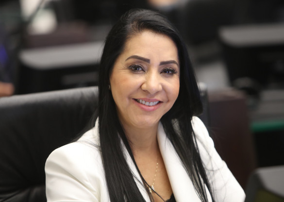 Os desafios da mulher no cenário atual é o tema de audiência que acontece na Assembleia Legislativa
