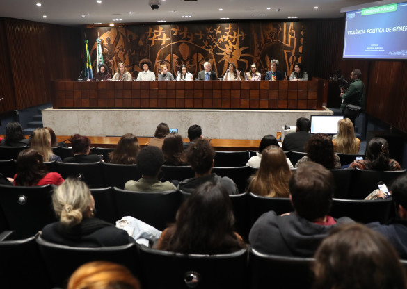 Audiência pública trata dos impactos da violência política de gênero na democracia brasileira