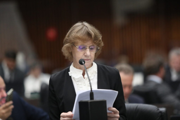 Deputada Luciana Rafagnin (PT) propõe campanha de educação nas escolas para meninos e homens contra a violência à mulher