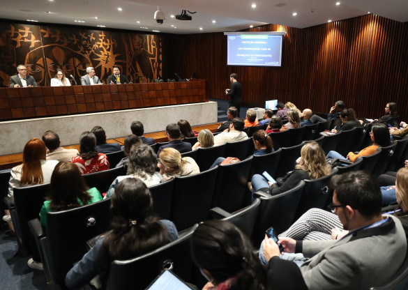 Parlamentares e especialistas discutem políticas públicas de proteção à infância no Paraná