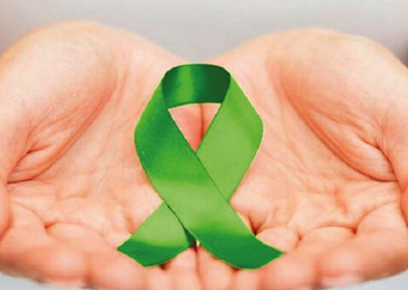 Setembro Verde mobiliza para doação de órgãos no Paraná