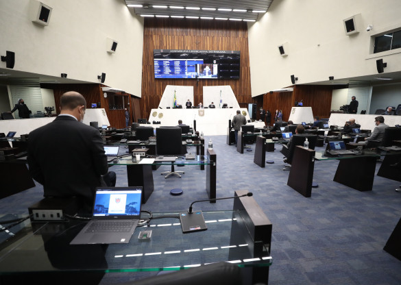 Semana de Conscientização Contra o Abandono de Animais é aprovada na Assembleia