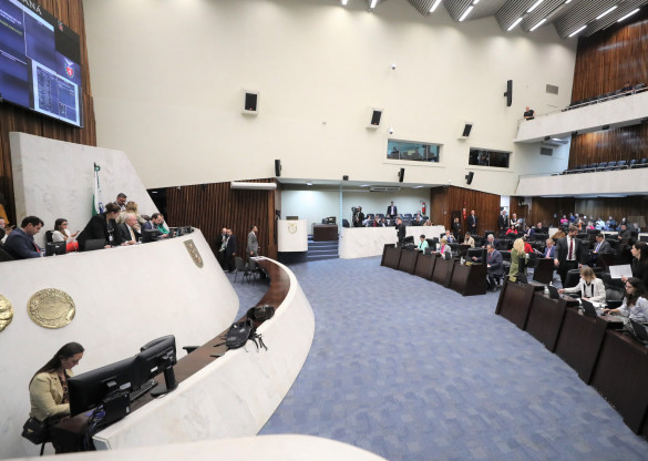Aprovado projeto que promove mobilização pela saúde mental materna no Paraná