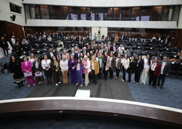 Escola do Legislativo realiza o evento "Violência contra médicas e profissionais da saúde: desafios no ambiente de trabalho" em parceria com o CRM-PR