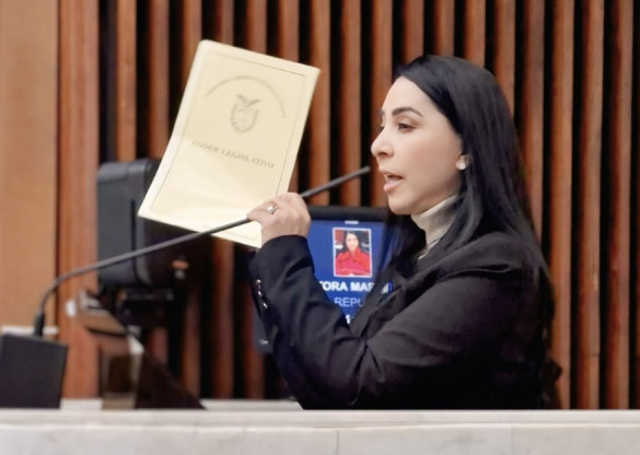 Deputada Mara Lima (Republicanos) protocola projeto contra a “adultização infantil” e sexualização de menores no Paraná