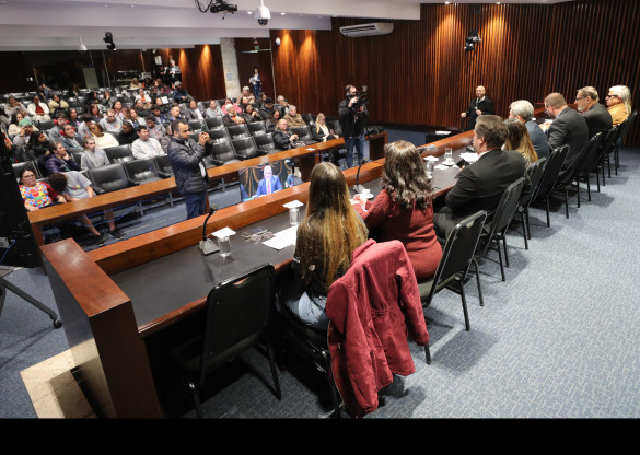 Assembleia promove debate sobre autismo em jovens e adultos, com foco em inclusão, saúde e apoio às famílias