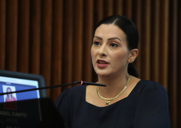 Bancada Feminina exalta recursos da Casa destinados ao Fundo Estadual da Mulher