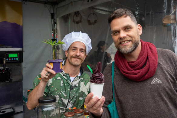 Sancionada a lei que estabelece política pública para a valorização da Palmeira Juçara no Paraná