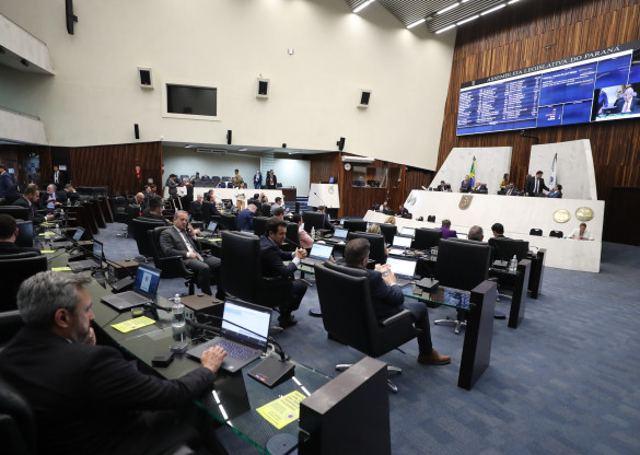 Sonora  deputada Maria Victoria, sobre projeto a favor das pessoas com doenças raras