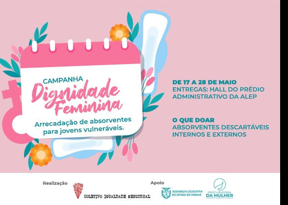 Assembleia Legislativa é ponto solidário de arrecadação de absorventes descartáveis
