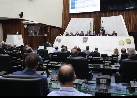 Assembleia debate PEC 231/2019, que trata do Fundo de Participação dos Municípios e dos Fundos Constitucionais destinados às Regiões Sul e Sudeste