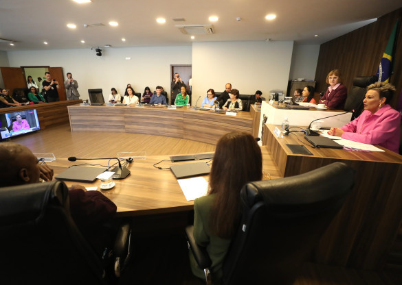 Com relatos de vítimas, audiência amplia o olhar sobre os órfãos do feminicídio que chegaram a 2.500 no ano passado