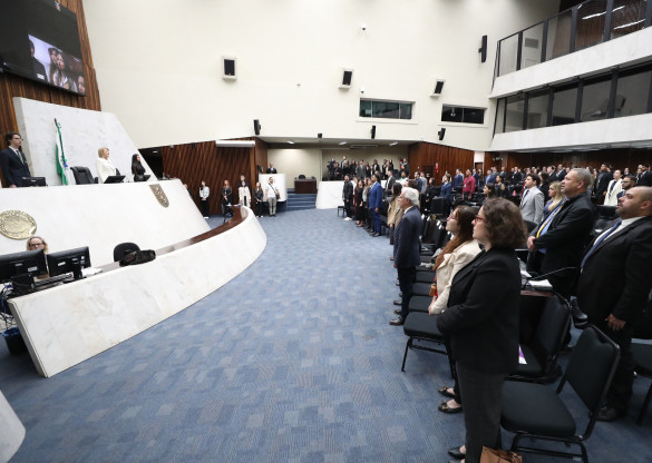 Comunicação PU 2025: deputadas e deputados são empossados na 6ª edição do Parlamento Universitário