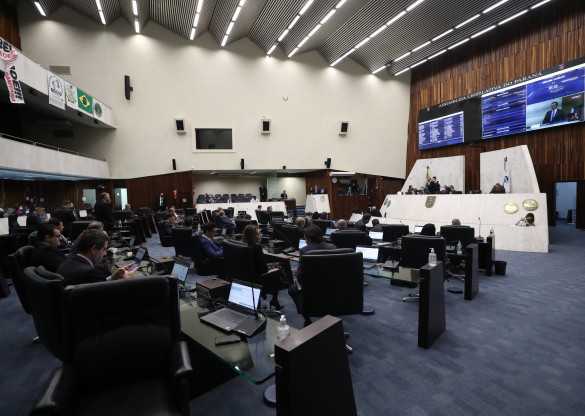 Proposta que veda obrigatoriedade do passaporte da vacina é aprovada em 2º turno
