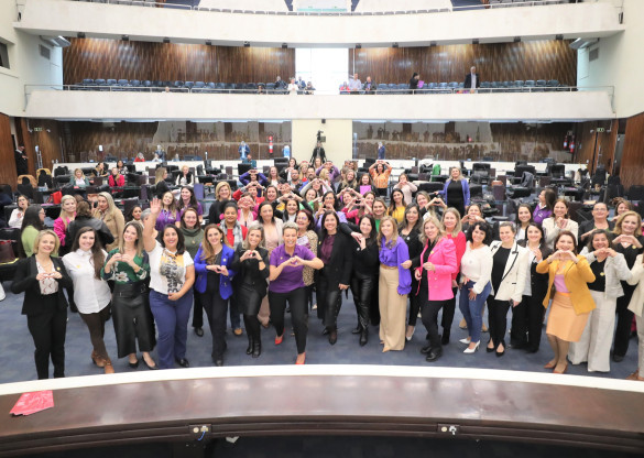 4° Encontro das Procuradorias Especiais da Mulher do Estado do Paraná reúne mais de 200 mulheres no Plenário da Assembleia
