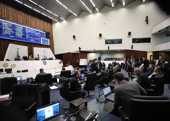 Aprovado projeto que aumenta penalidades para casos de maus-tratos contra animais