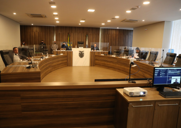 CCJ aprova proposta que assegura medicamentos à base de cannabis sativa