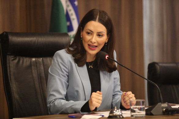 Projeto de lei propõe criação de semana estadual de enfrentamento à violência contra a mulher na internet