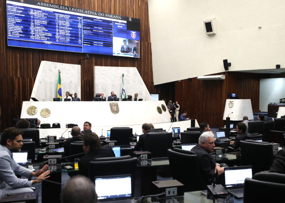 Projetos beneficiam entidades que promovem cultura, proteção dos animais, combate às drogas e turismo