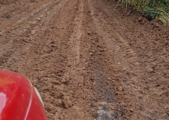 Deputado Cobra Repórter (PSD) reforça necessidade de pavimentação de trecho da PR-532 entre a PR-445 e Taquaruna