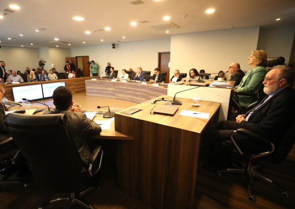 Deputados manifestam preocupação com o combate à dengue durante Audiência Pública com o secretário da saúde