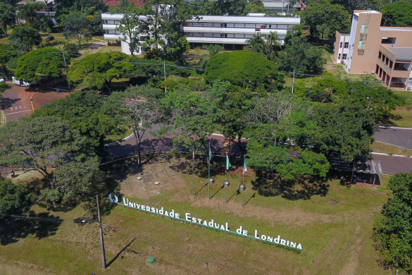 Laboratório da UEL vai fazer testes de DNA gratuitos