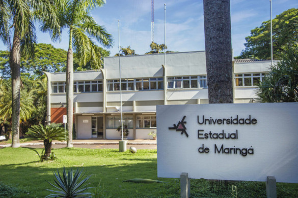 TJ-PR acata ação da Oposição e declara inconstitucionalidade de artigos da Lei Geral das Universidades