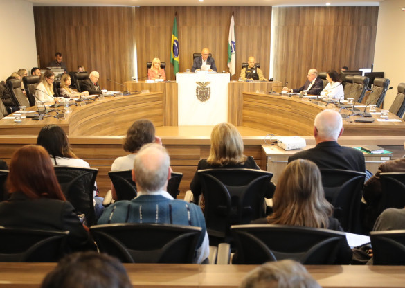 Audiência debate criação de semana de conscientização sobre o ruído no Paraná