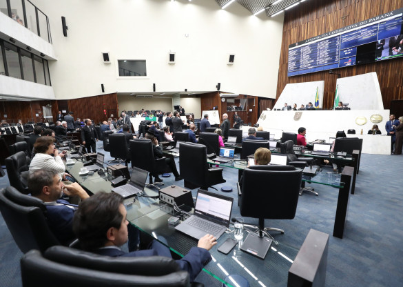 Aprovada proposta que institui o Conselho Estadual de Juventude do Paraná